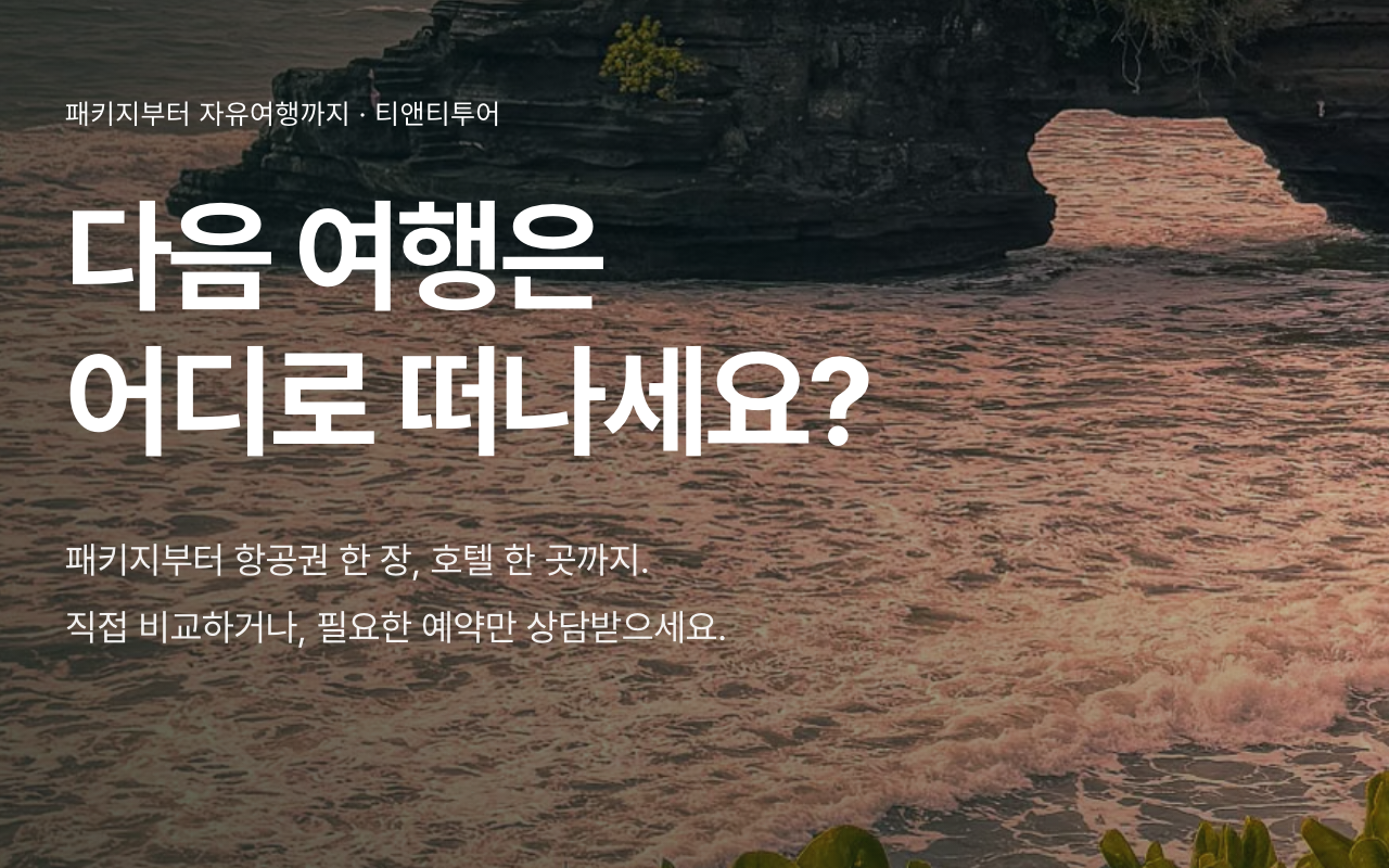 TNT Tour website showing travel booking consultation
