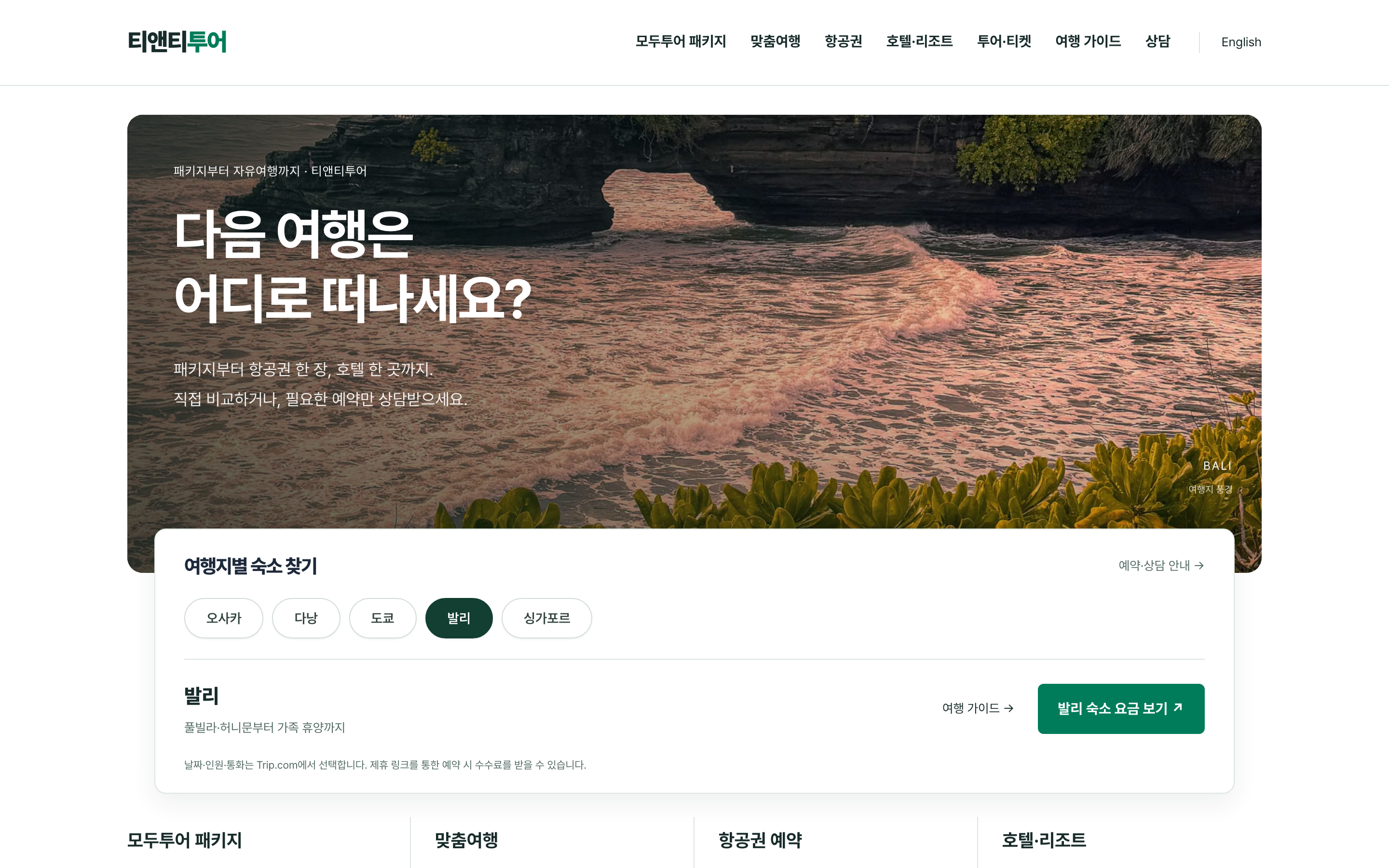 티앤티투어 웹사이트 화면